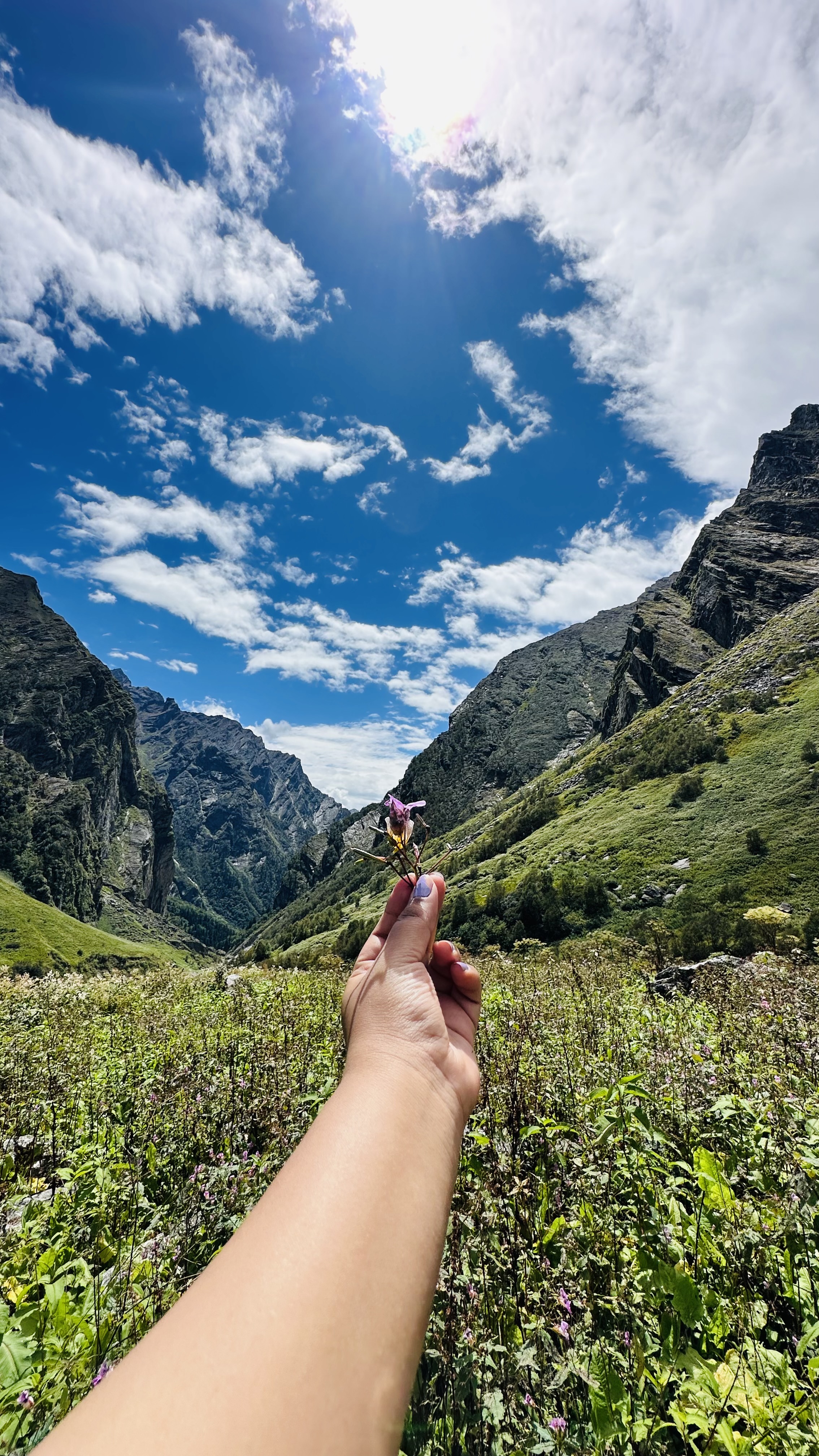 Valley of Flowers photo 7