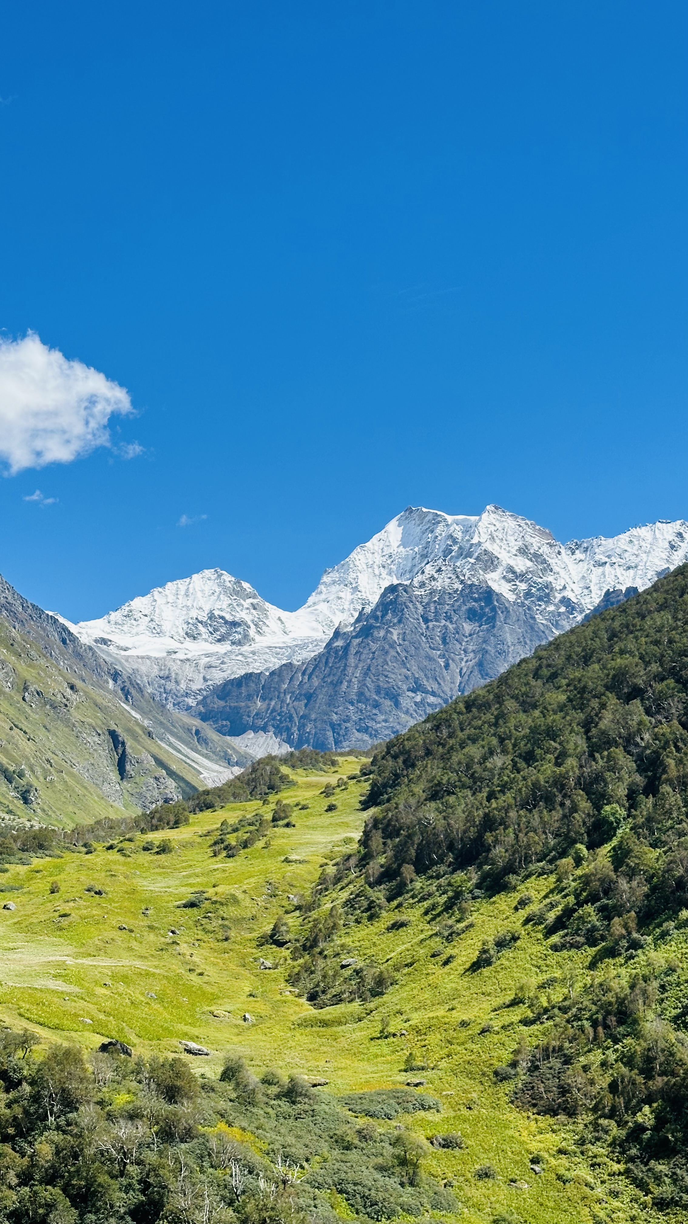 Valley of Flowers photo 2